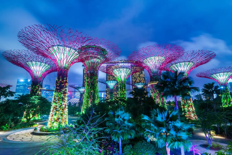 dreamstime_Futuristic_view_of_amazing_illumination_at_Garden_-_SINGAPORE